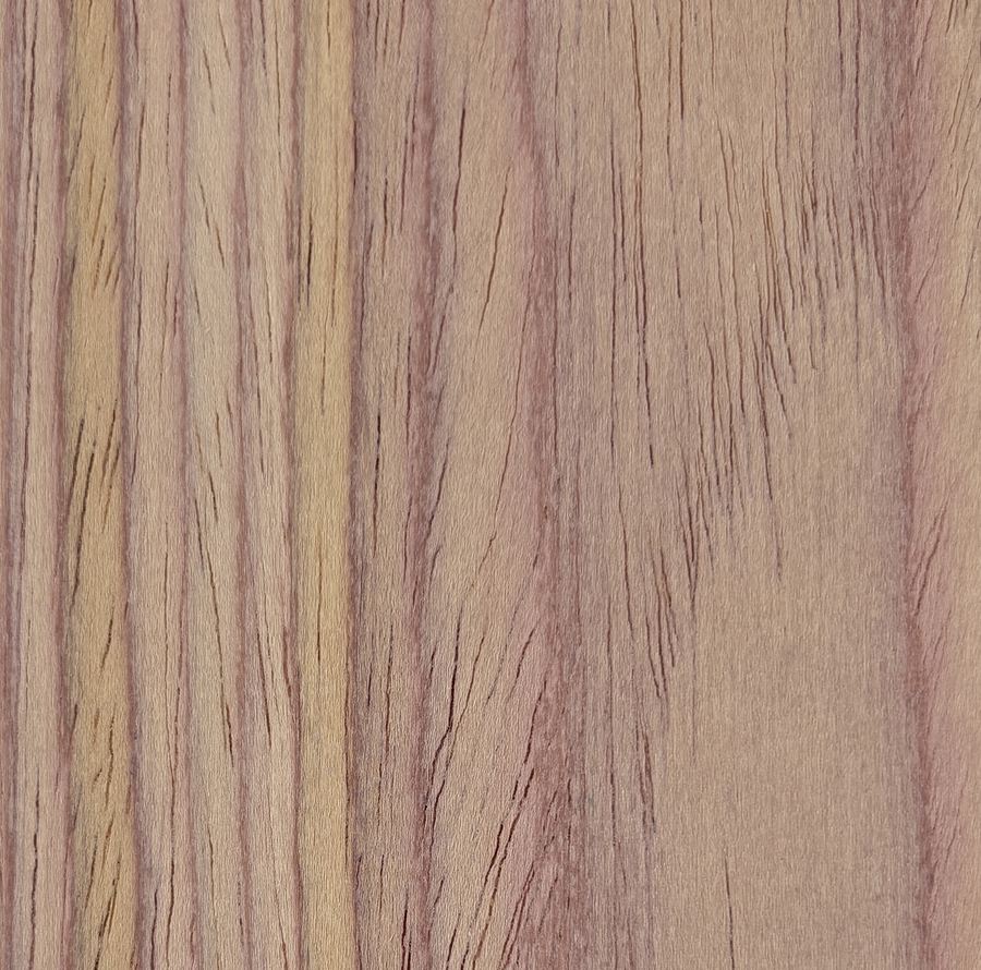 Red Elm Crown